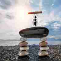 智﻿能‍化​网​站​设﻿计﻿公‍司‌